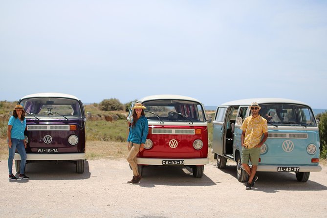 Portimão and Lagoa: Algarve Nature & Wildlife Tour in a VW T2 Van