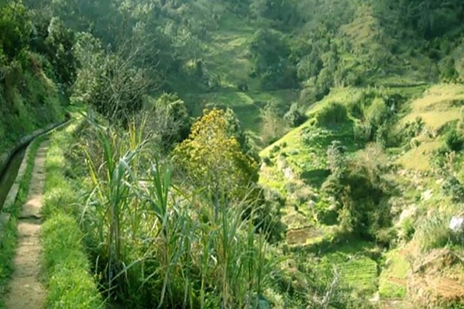 Porto Da Cruz Easy Pace Small-Group Guided Hiking Tour  – Funchal