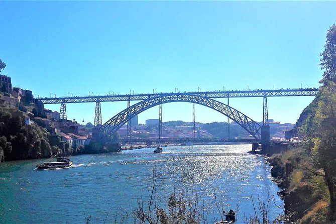 Porto Private Luxury City Tour From Lisbon