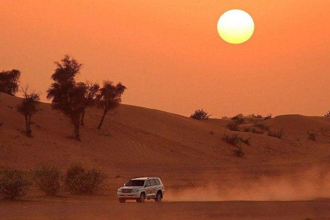 Premium Desert Safari, Barbeque, 3 Shows, Camel Ride, Sand-Board at Bedouin Camp