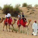 1 premium desert safari with bbq dinnerbelly dancecamel riding sand boarding Premium Desert Safari With BBQ Dinner,Belly Dance,Camel Riding & Sand Boarding