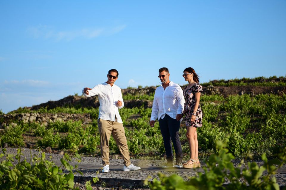 1 premium wine tasting with caldera and sea views Premium Wine Tasting With Caldera and Sea Views