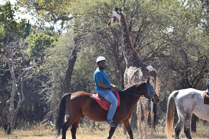 Pretoria Private Half-Day Horseback Riding Safari - Pricing and Booking