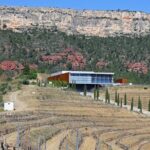 1 priorat wines history small group and hotel pick up from barcelona Priorat, Wines & History - Small Group and Hotel Pick up From Barcelona