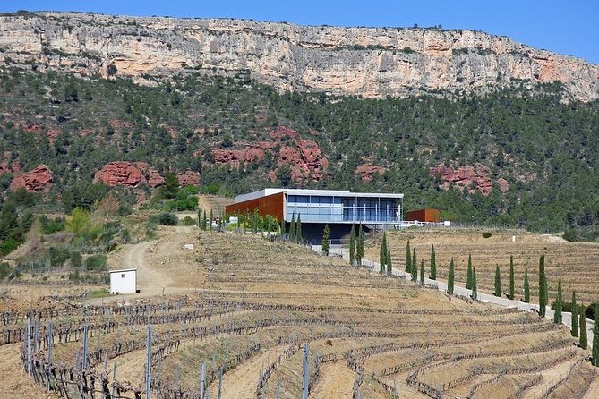 Priorat, Wines & History – Small Group and Hotel Pick up From Barcelona