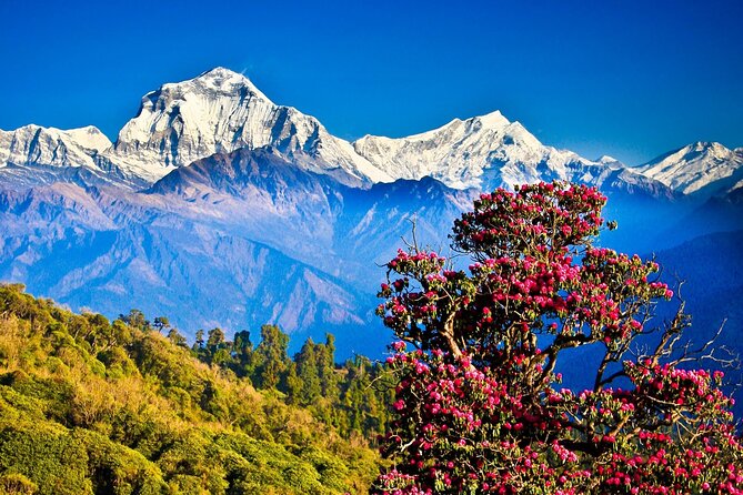 Private 10 Days Tour Package in Nepal