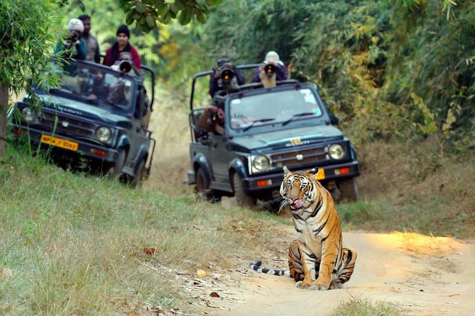 Private 12-Day Safari Tour: Parks & Reserves of Central India  – New Delhi