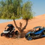 1 private 2 seater buggy experience in dubai Private 2-Seater Buggy Experience in Dubai