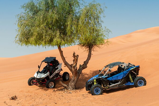 Private 2-Seater Buggy Experience in Dubai