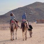 1 private 3 hour or 5 hour quad safari tour to sahara desert PRIVATE! 3-Hour or 5-Hour Quad Safari Tour to Sahara Desert