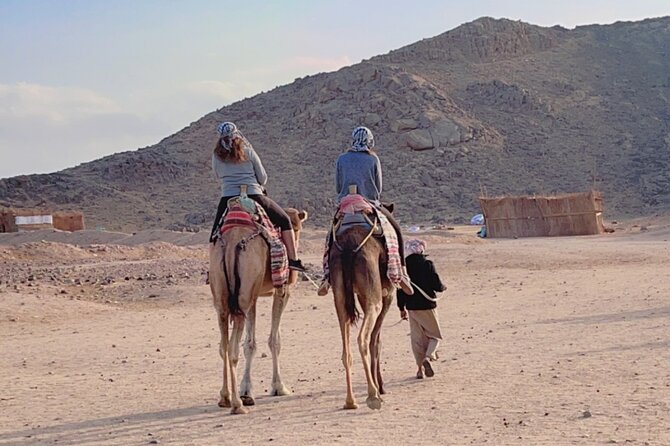 1 private 3 hour or 5 hour quad safari tour to sahara desert PRIVATE! 3-Hour or 5-Hour Quad Safari Tour to Sahara Desert