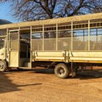 1 private 5 hour lion park tour from johannesburg or pretoria Private 5-Hour Lion Park Tour From Johannesburg or Pretoria
