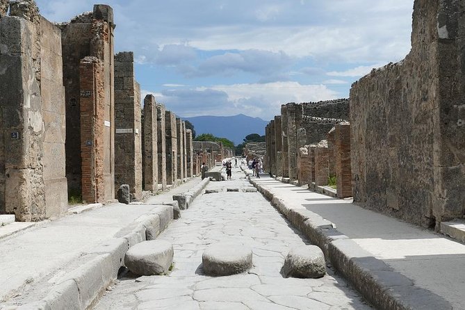Private 6h Tour to Pompei and Ercolano With Port or Hotel Pick-Up