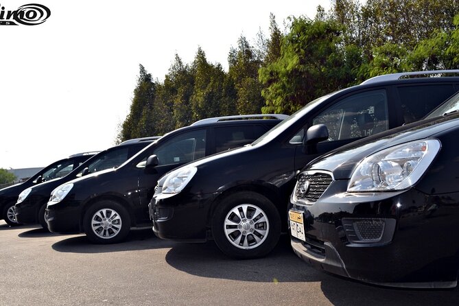 Private Airport Transfer: Cairo Airport Transfer to Anywhere in Cairo