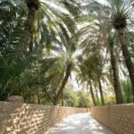 1 private al ain city tour from dubai with buffet lunch Private Al Ain City Tour From Dubai With Buffet Lunch