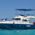 1 private boat to dolphin house full day snorkeling sea trip max 10 pax hurghada Private Boat to Dolphin House Full Day Snorkeling Sea Trip Max 10 Pax - Hurghada