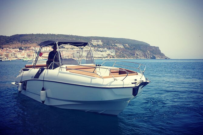 1 private boat tour in sesimbra with dolphin watching Private Boat Tour in Sesimbra With Dolphin Watching