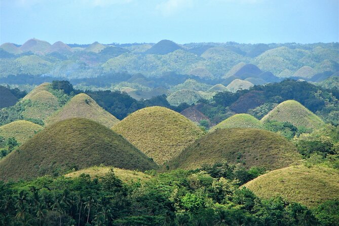 1 private bohol and chocolate hills with loboc river cruise Private Bohol and Chocolate Hills With Loboc River Cruise