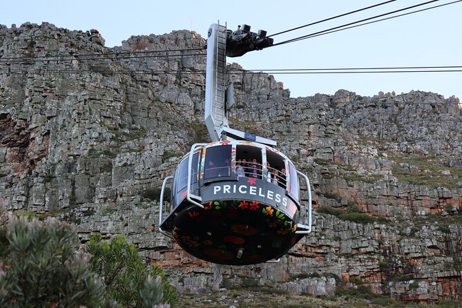 Private Cape of Good Hope Tour With Table Mountain Ticket Including Park Fees