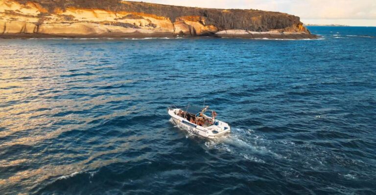 Private Charter Private Charter to See the Whales – 2 Hours