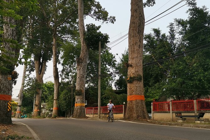 Private Chiang Mai Half-Day Bike Tour