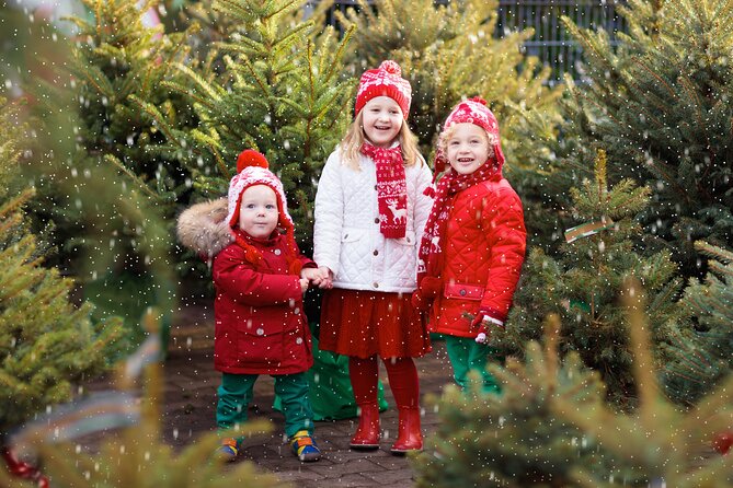 Private Christmas Card Photoshoot in Barcelona