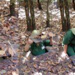 1 private cu chi tunnels half day guided tour from ho chi minh city Private Cu Chi Tunnels - Half-Day Guided Tour From Ho Chi Minh City