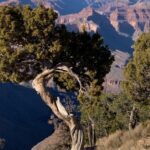 1 private custom grand canyon tours Private Custom Grand Canyon Tours