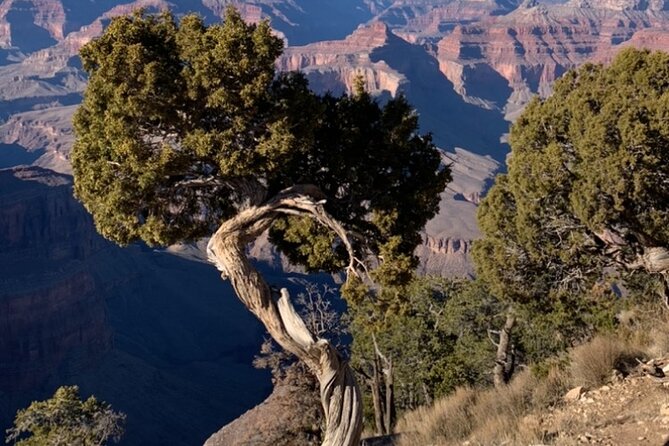 1 private custom grand canyon tours Private Custom Grand Canyon Tours