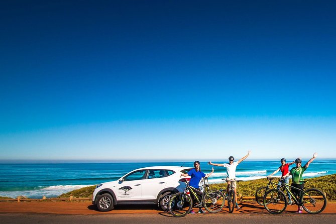 1 private cycling tour of the cape peninsula from cape town Private Cycling Tour of the Cape Peninsula From Cape Town