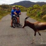 1 private cycling tour to cape point from cape town Private Cycling Tour to Cape Point From Cape Town