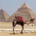 1 private day from sharm to cairo by plane all entrance fees camel lunch guide Private Day From Sharm to Cairo by Plane, All Entrance Fees, Camel, Lunch, Guide