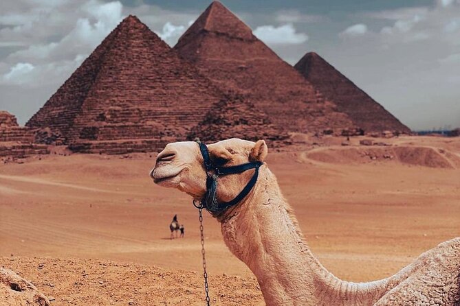 Private Day Tour in Giza Pyramid Saqqara and Memphis