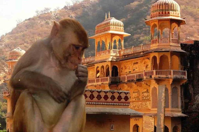 1 private day tour of abhaneri stepwells with monkey temple Private Day Tour of Abhaneri Stepwells With Monkey Temple