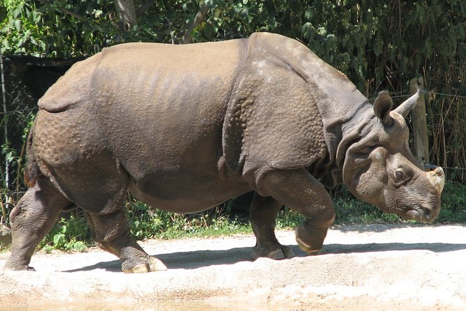 Private Day Trip to Central Zoo at Jawalakhel