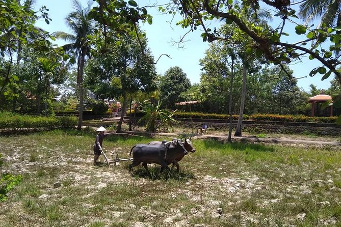 Private Day Trip to Visit MY LAI MASSACRE From Hoi an or Da Nang City