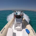 1 private dolphin watching and snorkeling tour Private Dolphin Watching And Snorkeling Tour