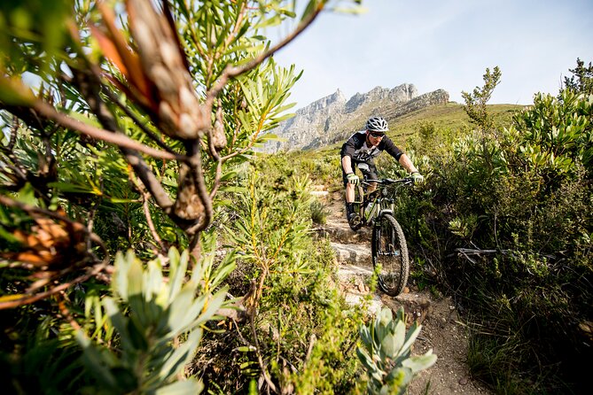 Private E-Bike Cape Town MTB Trails With a Pro