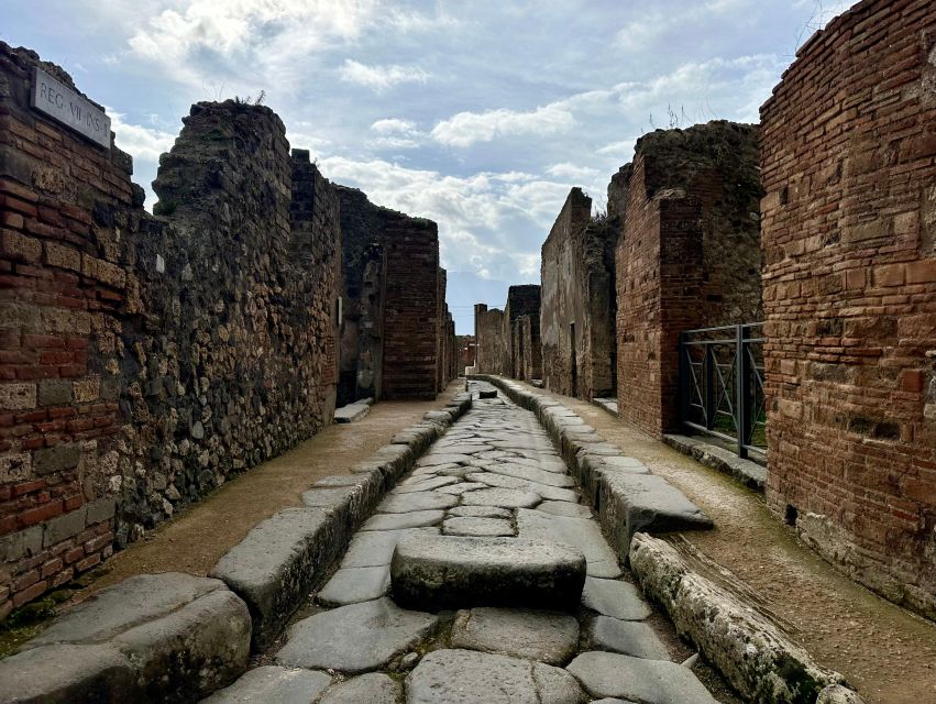 1 private excursion to pompeii and to vesuvius Private Excursion to Pompeii and to Vesuvius