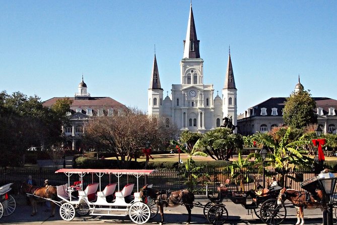 1 private french quarter walking and city surrounding neighborhoods driving tour Private French Quarter Walking and City Surrounding Neighborhoods Driving Tour