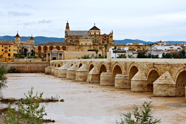 Private Full-Day Tour of Cordoba From Seville