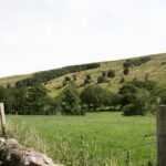 1 private full day tour of the yorkshire dales from the lake district Private Full Day Tour of the Yorkshire Dales From the Lake District