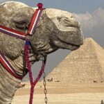 1 private full day tour to the giza pyramids sakkara memphis Private Full-Day Tour to the Giza Pyramids ,Sakkara & Memphis