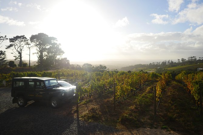 1 private full day ultra premium wine tour from cape town to constantia Private: Full Day Ultra-Premium Wine Tour From Cape Town to Constantia