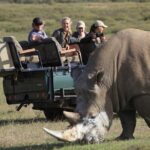 1 private garden route tour from cape town with game drive Private Garden Route Tour From Cape Town With Game Drive