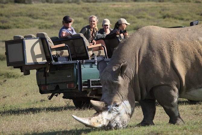 Private Garden Route Tour From Cape Town With Game Drive