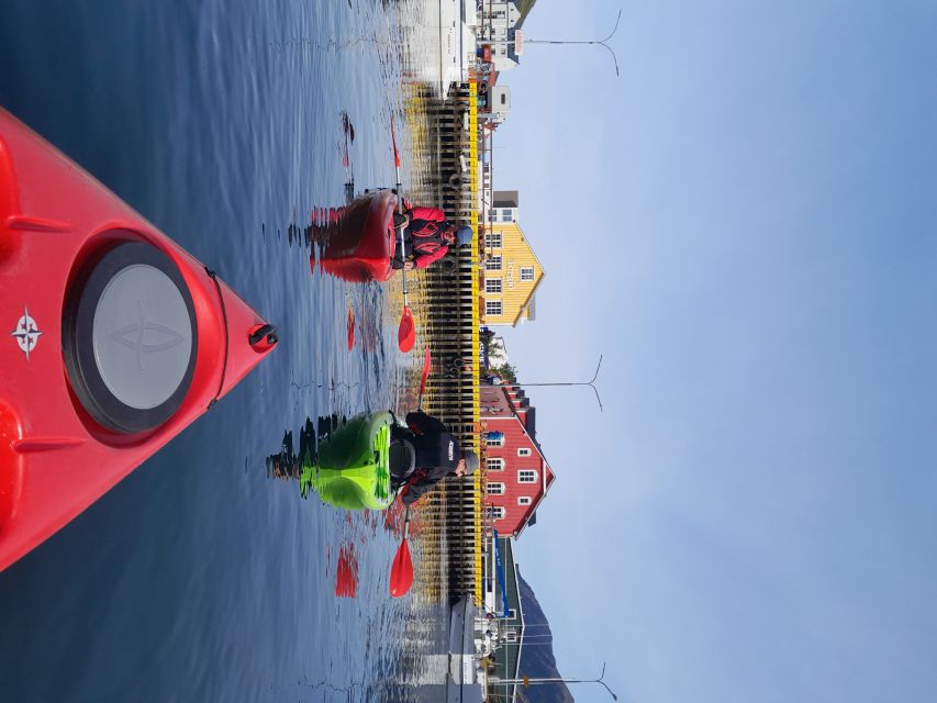 1 private guided kayak tour in siglufjordur siglufjordur Private: Guided Kayak Tour in Siglufjörður / Siglufjordur.