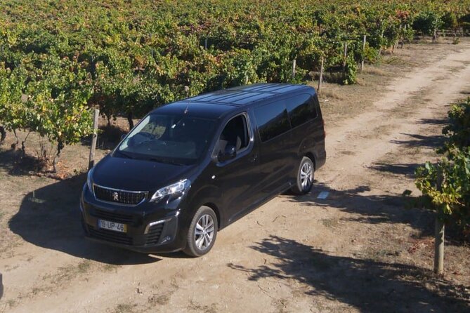 Private Guided Transfer in Sintra and Lisbon