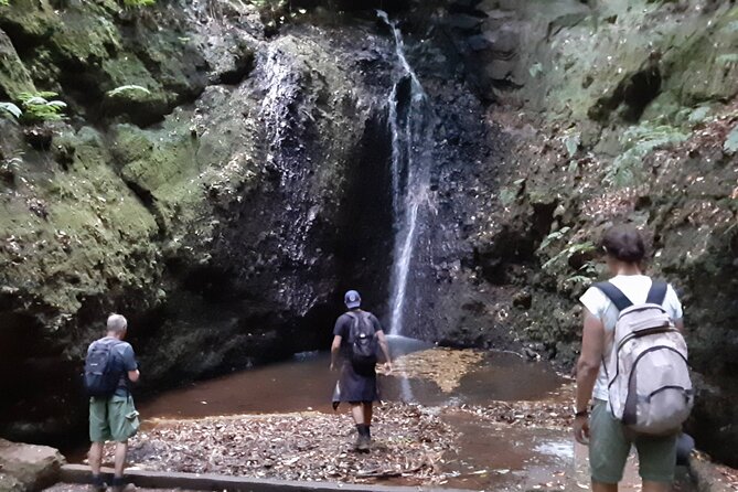 Private Guided Walk Levada Brasileiro – Levada Do Moinho