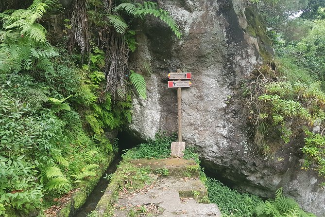 Private Guided Walk Levada Castelejo - Confirmation and Accessibility
